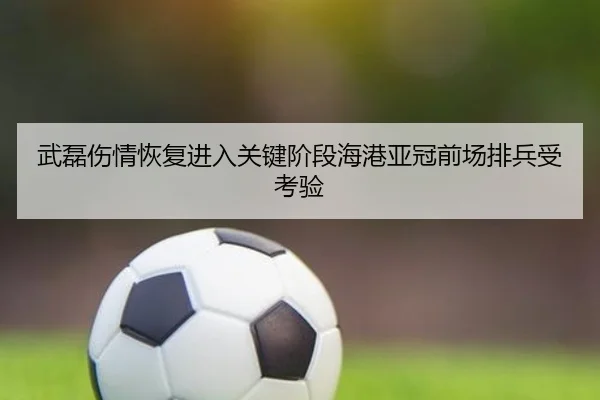 武磊伤情恢复进入关键阶段海港亚冠前场排兵受考验